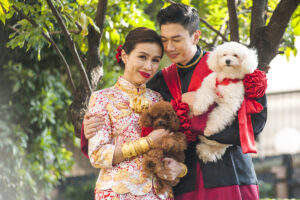 Bride and groom holding their brown and white dogs