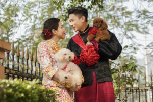 Bride and groom looking at each other whilst holding their brown and white dogs